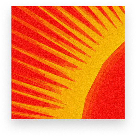 Portfolio 1
